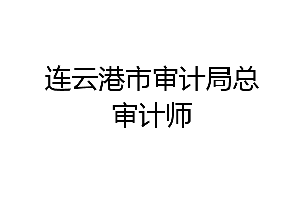 连云港市审计局总审计师