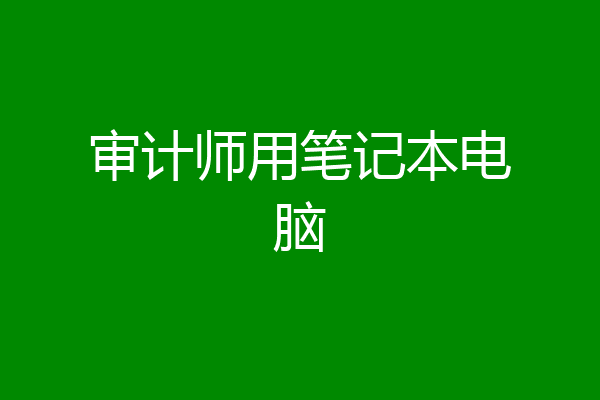 审计师用笔记本电脑