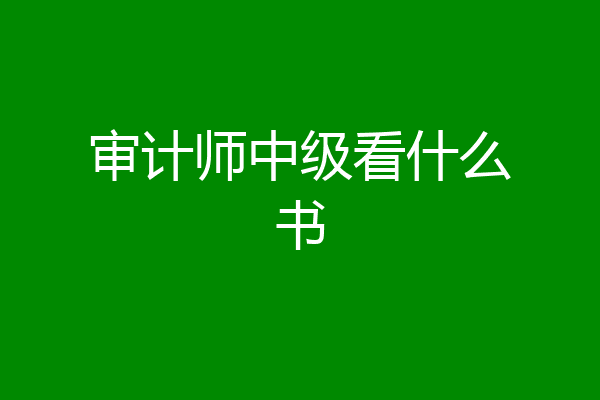 审计师中级看什么书