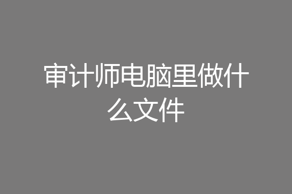 审计师电脑里做什么文件
