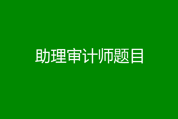 助理审计师题目