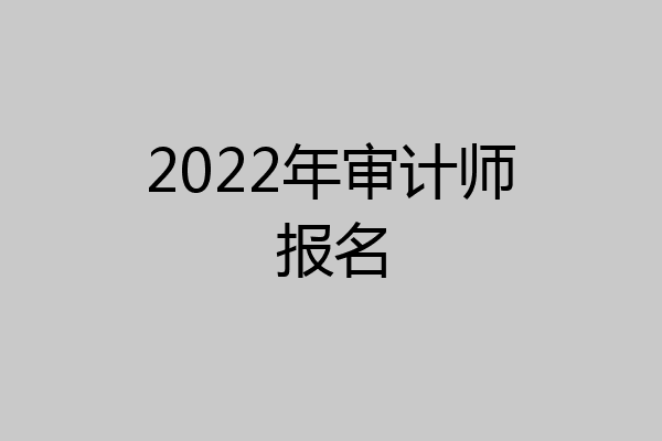 2022年审计师报名