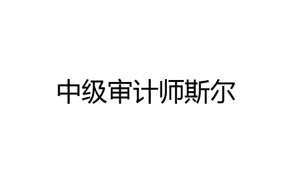中级审计师斯尔
