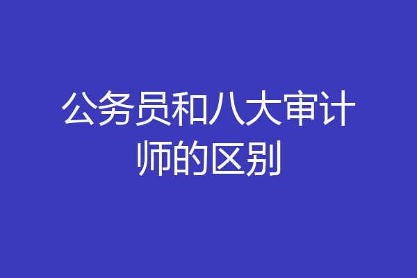 公务员和八大审计师的区别