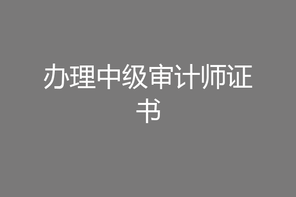 办理中级审计师证书