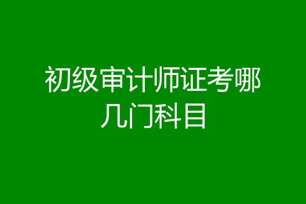初级审计师证考哪几门科目