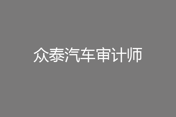 众泰汽车审计师