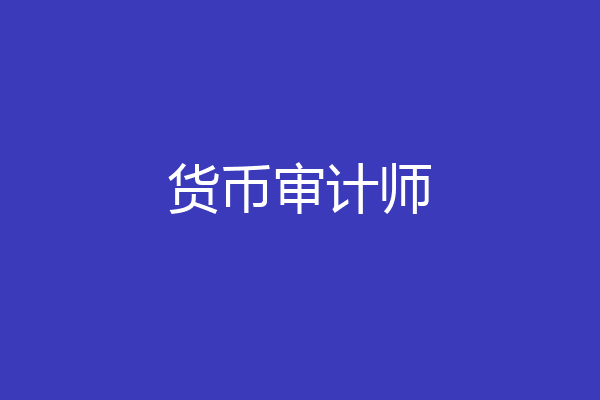 货币审计师