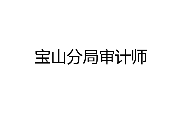 宝山分局审计师