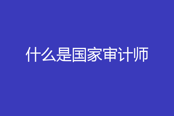 什么是国家审计师