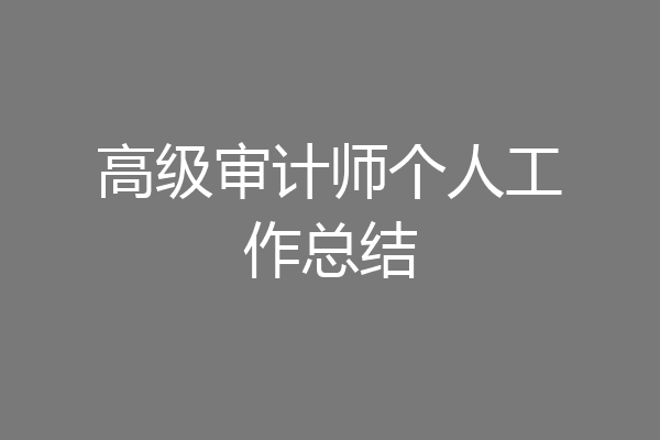 高级审计师个人工作总结