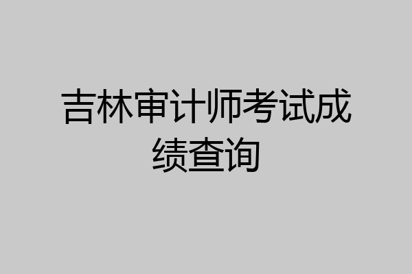 吉林审计师考试成绩查询