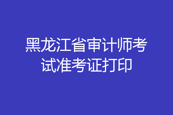 黑龙江省审计师考试准考证打印