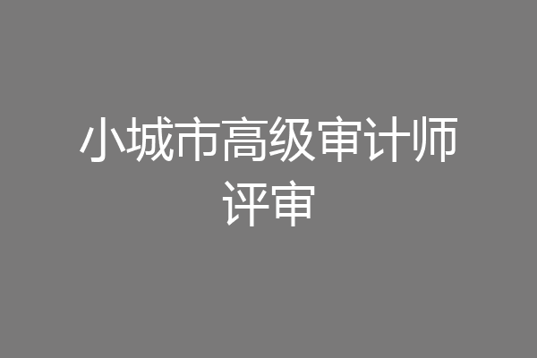 小城市高级审计师评审