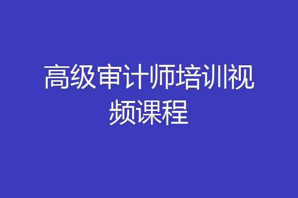 高级审计师培训视频课程