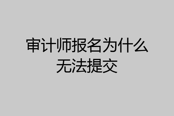 审计师报名为什么无法提交