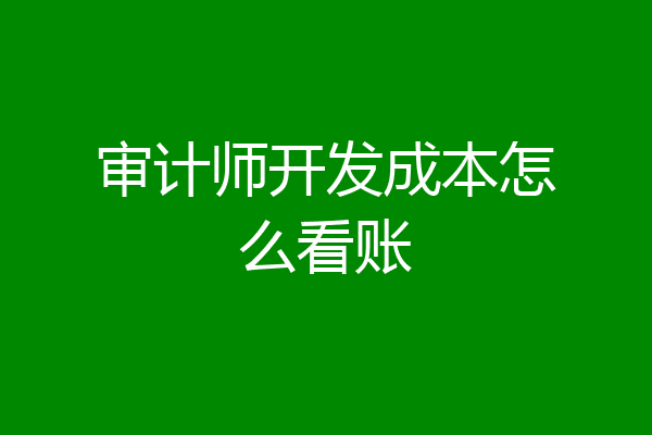 审计师开发成本怎么看账