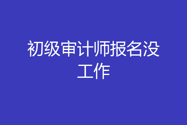 初级审计师报名没工作