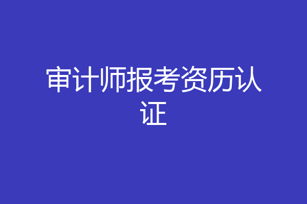 审计师报考资历认证