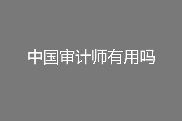 中国审计师有用吗