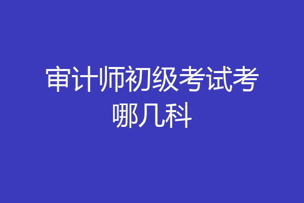 审计师初级考试考哪几科