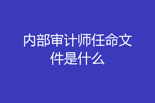 内部审计师任命文件是什么