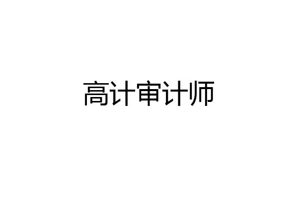 高计审计师