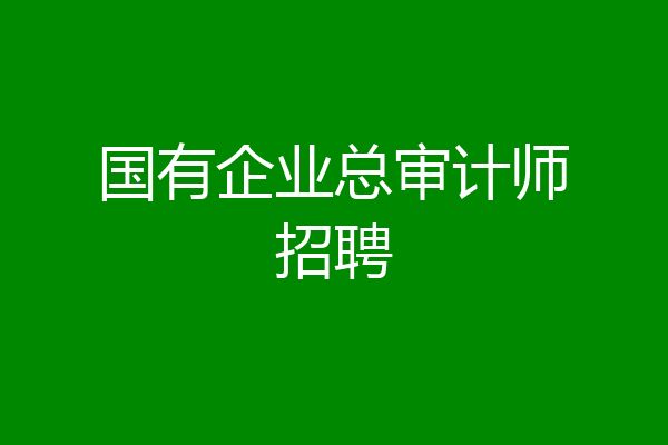 国有企业总审计师招聘