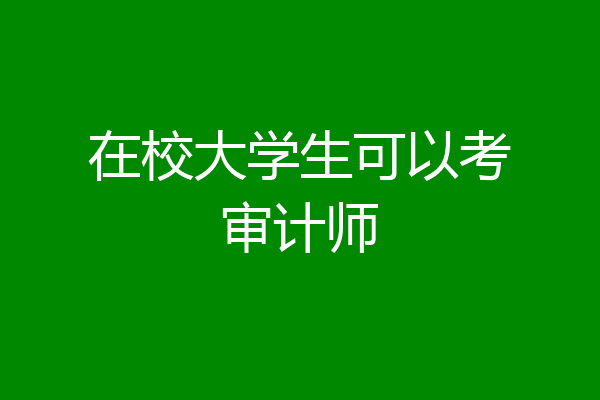 在校大学生可以考审计师