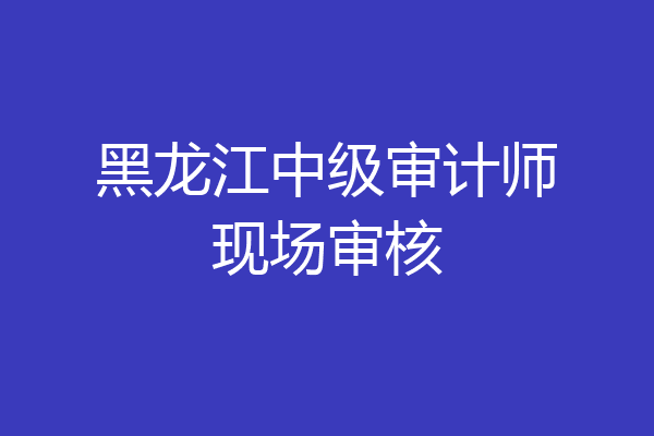 黑龙江中级审计师现场审核
