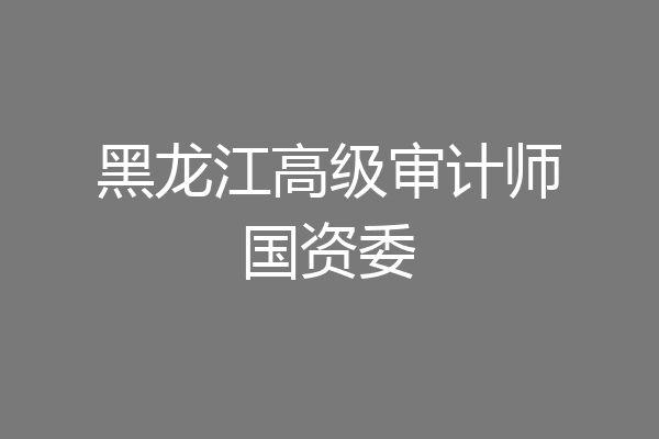 黑龙江高级审计师国资委