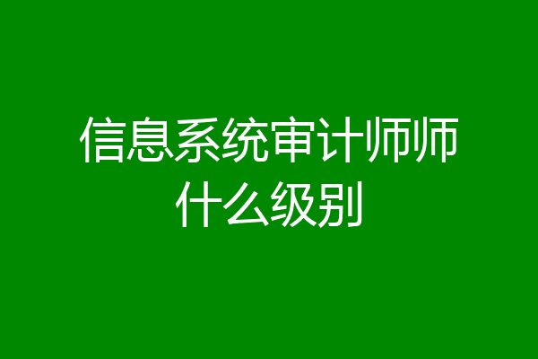信息系统审计师师什么级别