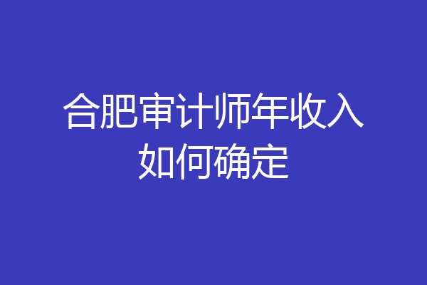 合肥审计师年收入如何确定