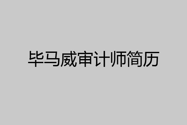 毕马威审计师简历