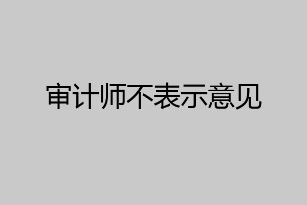 审计师不表示意见