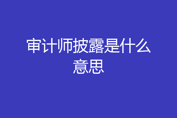审计师披露是什么意思