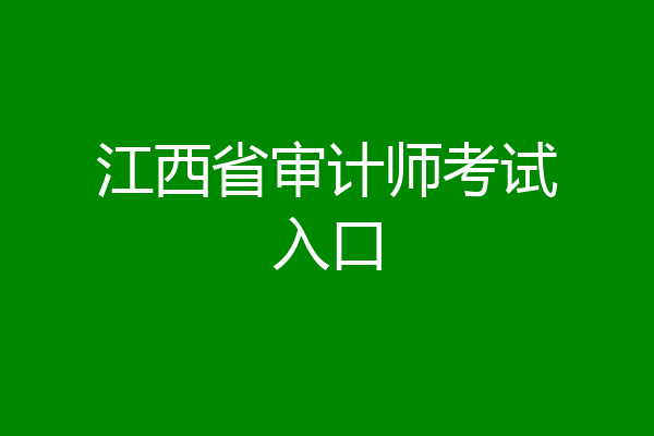 江西省审计师考试入口