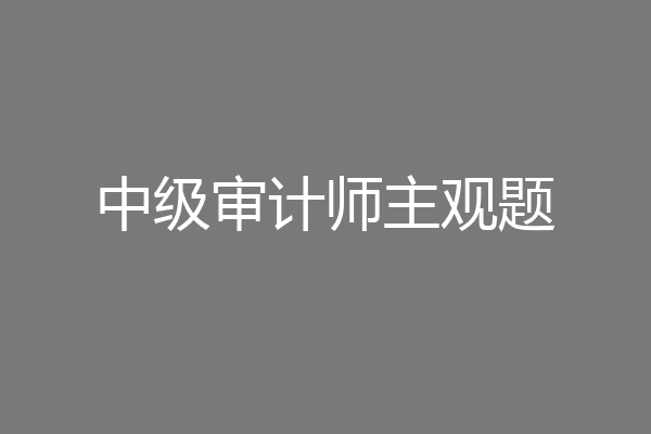 中级审计师主观题