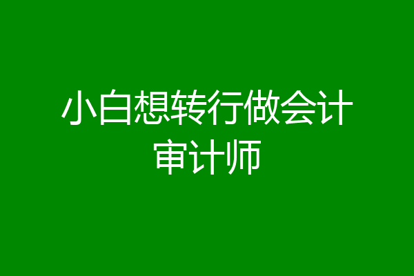小白想转行做会计审计师