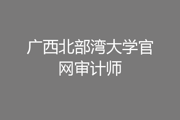 广西北部湾大学官网审计师