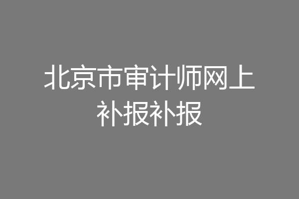 北京市审计师网上补报补报