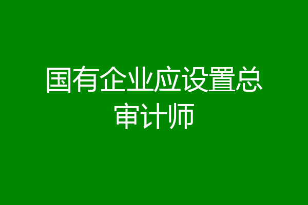 国有企业应设置总审计师