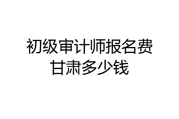 初级审计师报名费甘肃多少钱