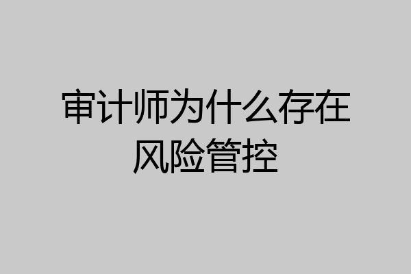 审计师为什么存在风险管控