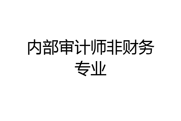 内部审计师非财务专业
