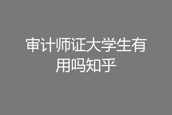 审计师证大学生有用吗知乎
