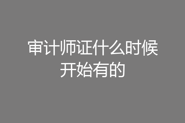 审计师证什么时候开始有的