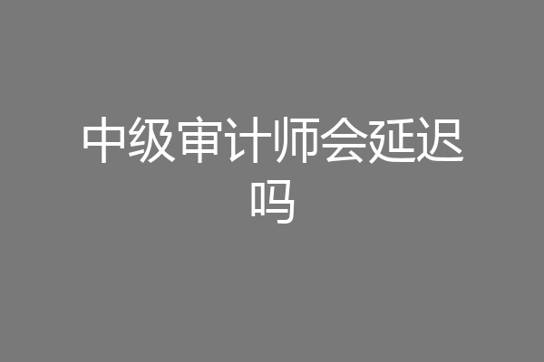 中级审计师会延迟吗