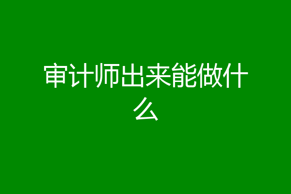 审计师出来能做什么
