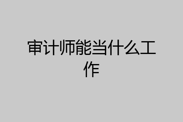 审计师能当什么工作